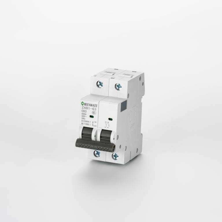 قاطع دائرة التيار المتردد منحنى C 40A 2P 6kA